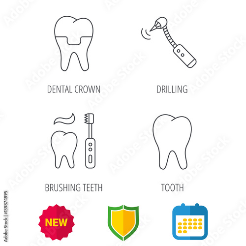 Brushing teeth, tooth and dental crown icons. Drilling tool linear sign. Shield protection, calendar and new tag web icons. Vector