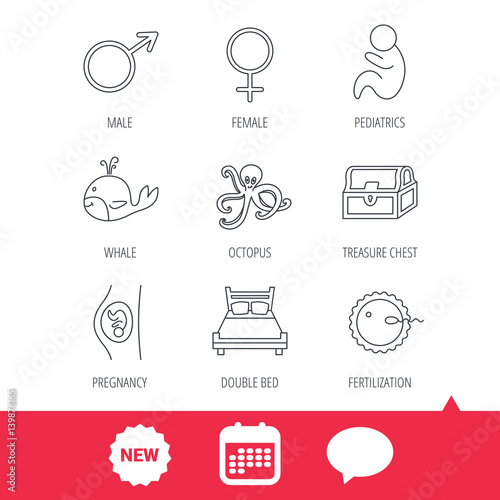 Fertilization, pregnancy and pediatrics icons. Baby child, whale and octopus linear signs. Treasure chest, double bed icons. New tag, speech bubble and calendar web icons. Vector