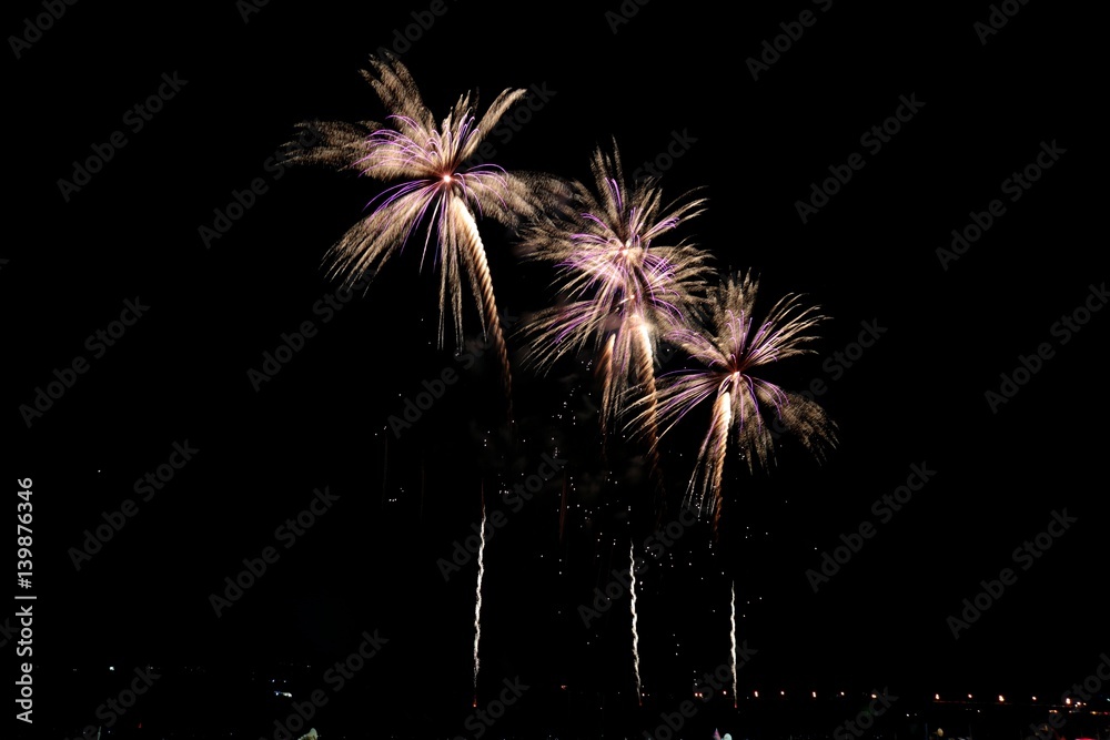 冬の花火/冬の夜空に舞い上がる花火大会