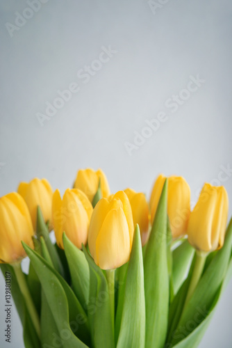 Bouquet of yellow tulips