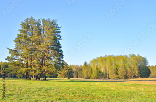 Park at spring. © konstan