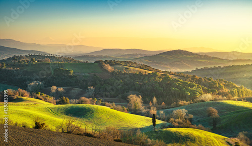 Maremma, rural sunrise landscape. Forest and green field. Tuscany, Italy.