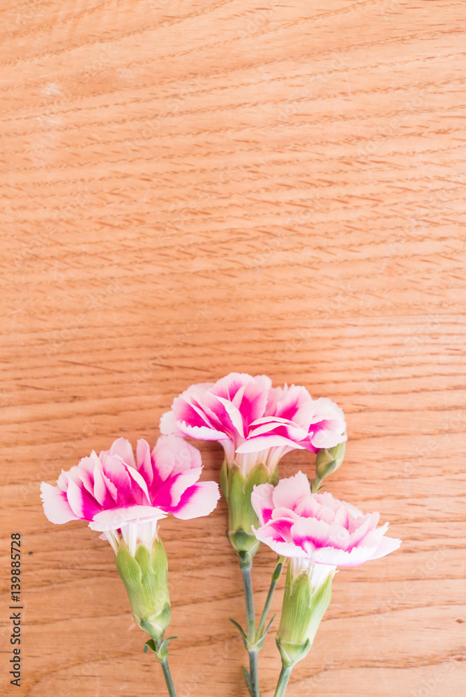 ピンクのカーネーション