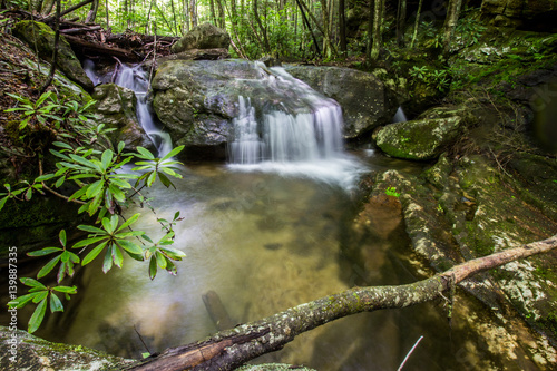 Waterfall in Forest