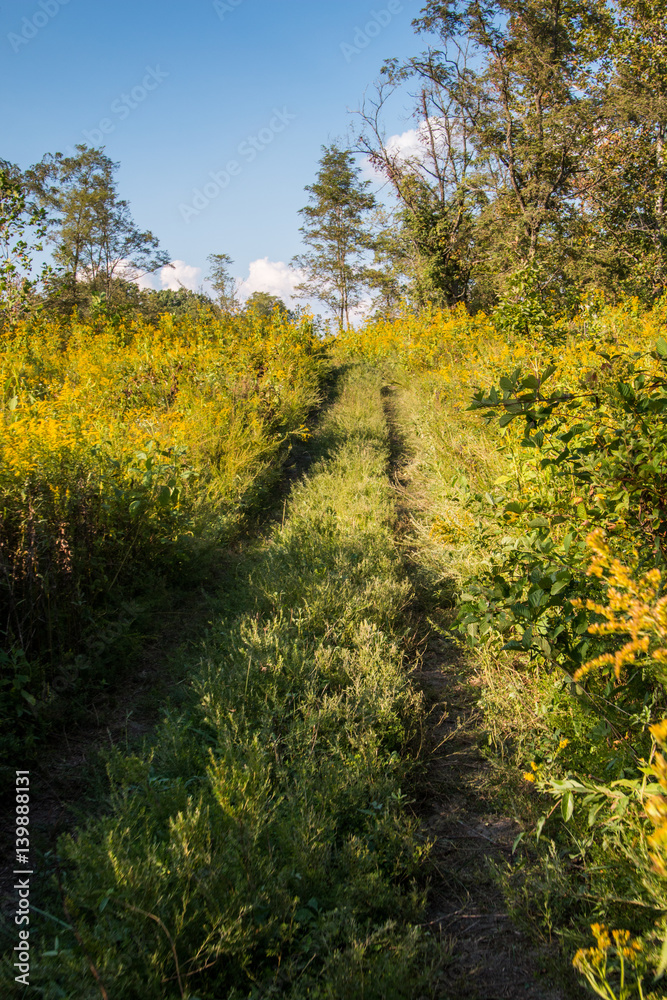 Offroad Trail Offroad Trail
