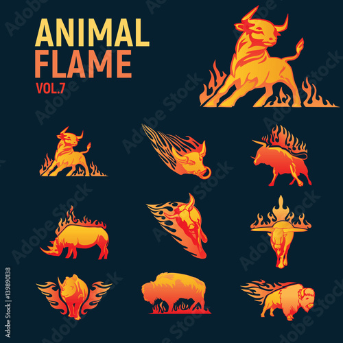 animal flame