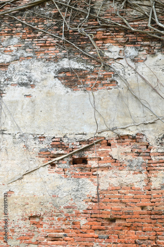 root wood covered brick wall