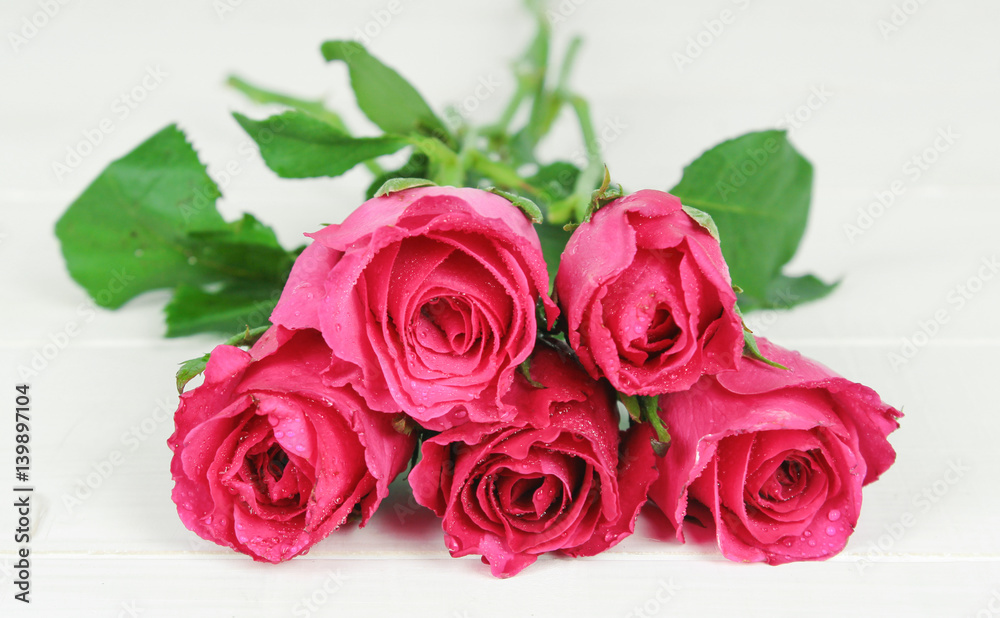 pink rose flower on a background pink rose flower on a background