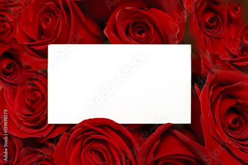 Red roses background with empty card
