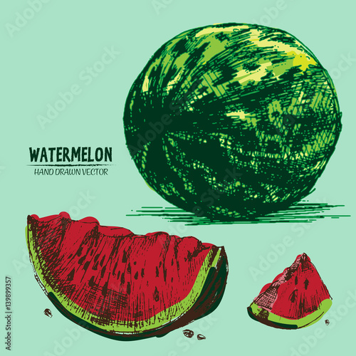 Digital vector detailed color watermelon hand drawn retro illustration collection set. Thin artistic linear pencil outline. Vintage ink flat style, engraved simple doodle sketches. Isolated objects