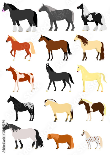 Horse breeds set