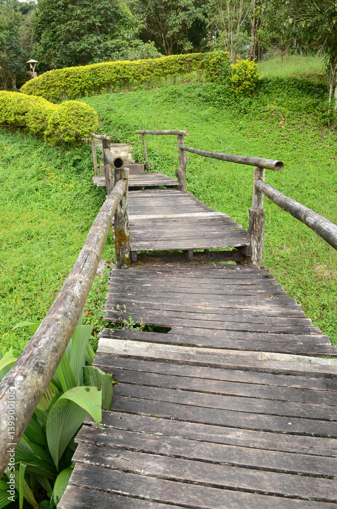 Boardwalk Through The Forest