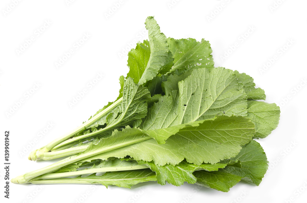 fresh turnip tops (turnip greens) on a white background fresh turnip tops (turnip greens) on a white background