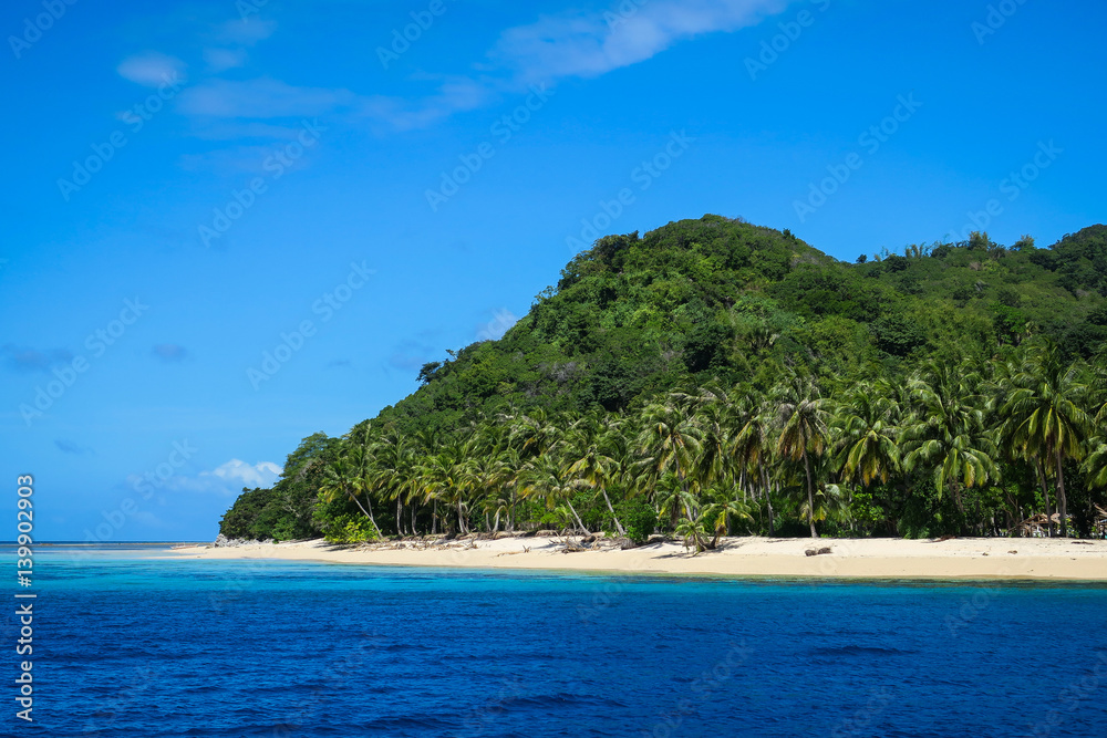 Remote island beach for camping under the coconut trees