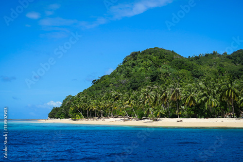 Remote island beach for camping under the coconut trees © nathanallen