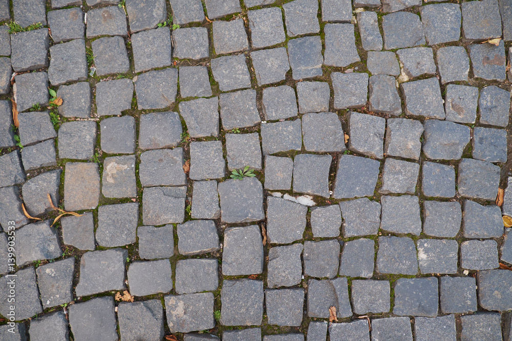 Obraz premium Textured pavers, St Petersburg, Russia.