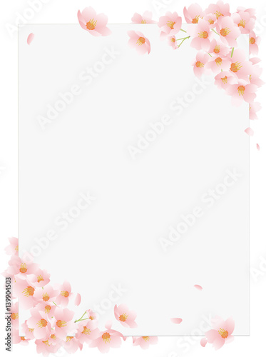 桜とカード