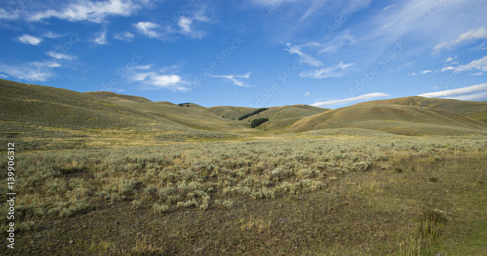 Obraz premium landscape