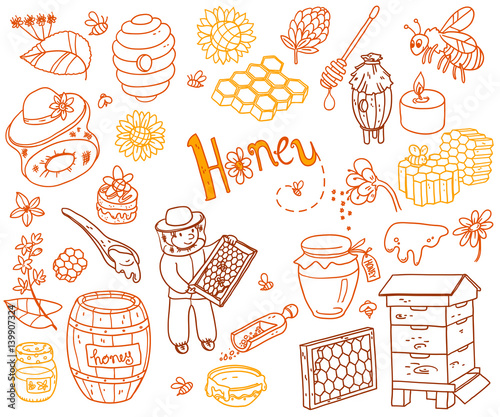 Vector honey element doodle set with beehive, beekeeper, flowers