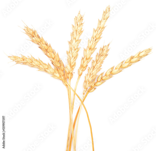 wheat ears