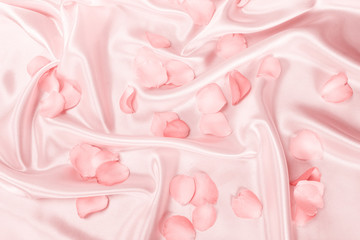  sweet pink roses  petal on  soft pink silk fabric , romance and love card concept