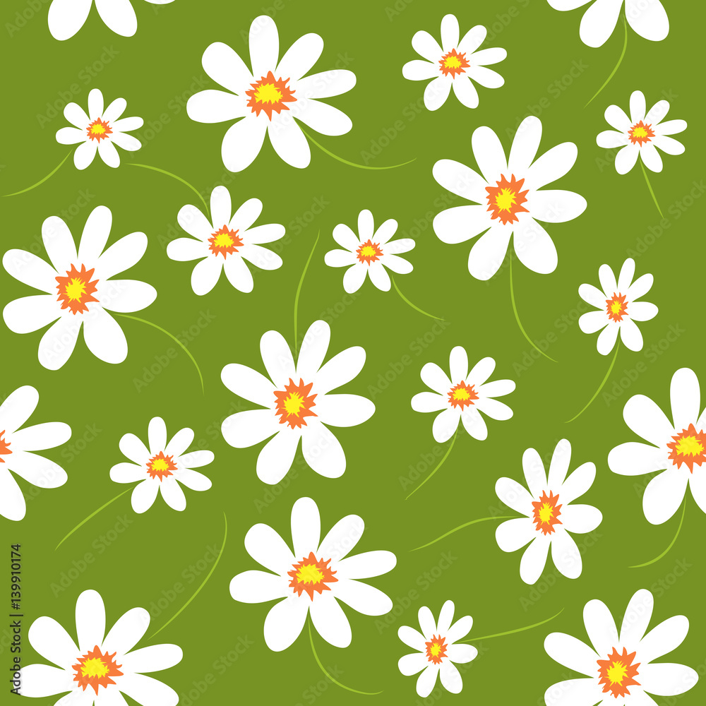 Floral vector seamless pattern. Daisy field