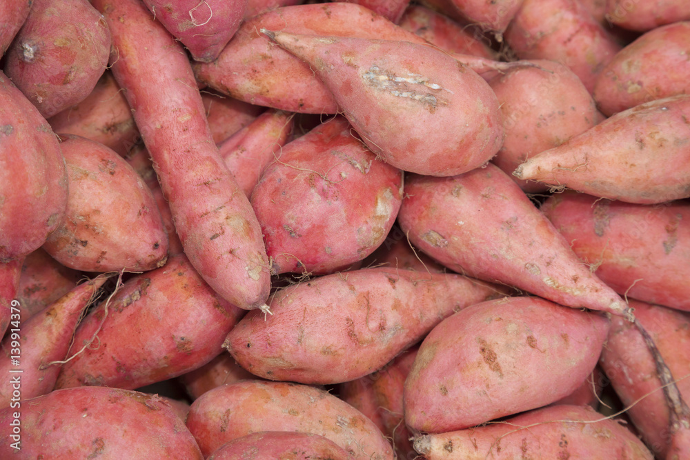Süßkartoffeln, (Ipomoea batatas) Süßkartoffeln, (Ipomoea batatas)