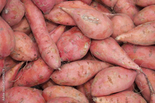 Süßkartoffeln, (Ipomoea batatas)