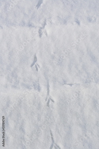 Отпечатки ног птиц на снегу зимой