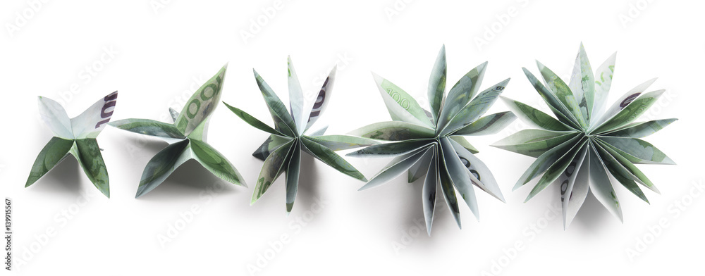 flowers origami banknotes flowers origami banknotes