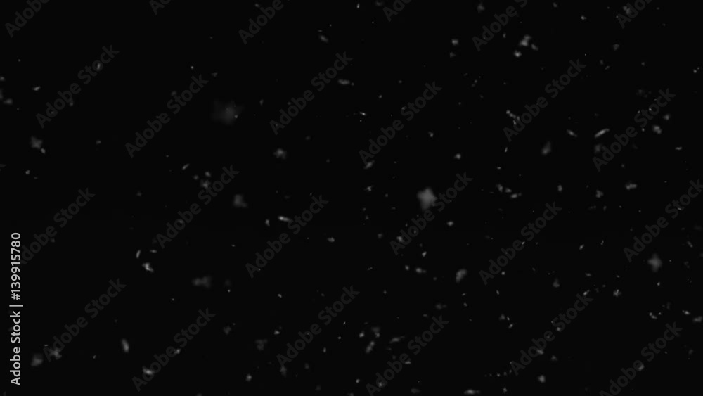 Snowfall. The snow is coming. Loop. Snowfall. The snow is coming. Loop.