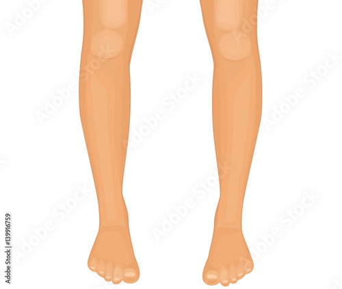 Human legs vector illustration on white background