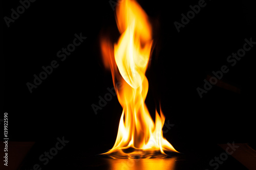 Burning fire flame on black background