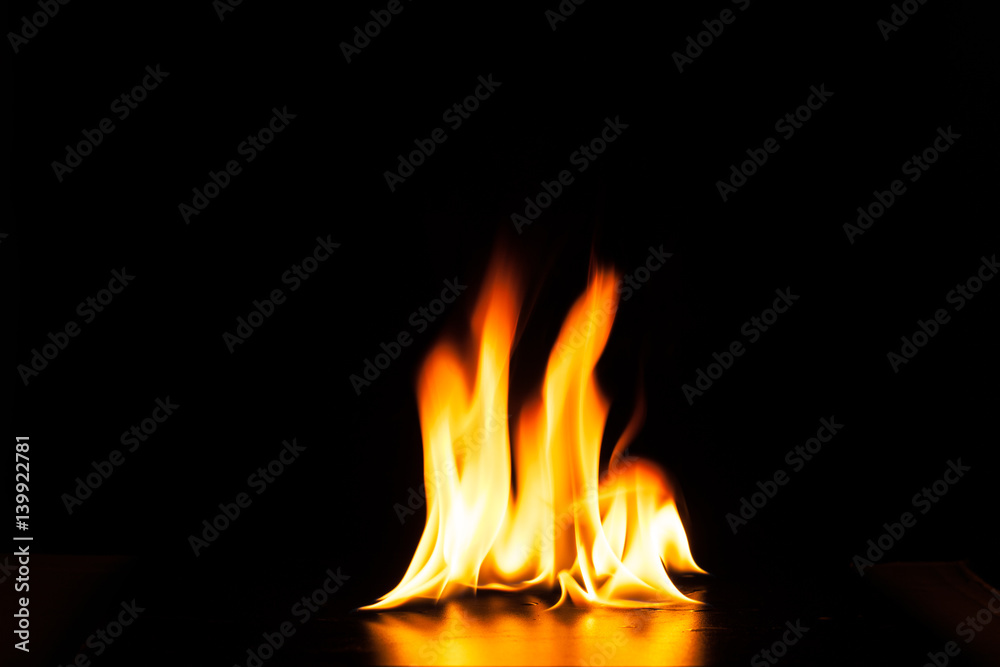 Burning fire flame on black background Burning fire flame on black background