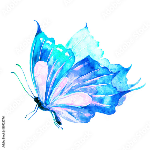 butterfly,watercolor, isolated on a white © aboard