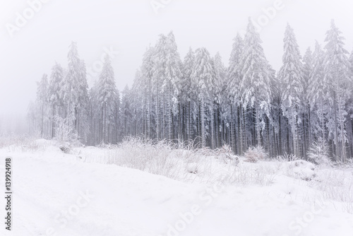 sauerland in winter