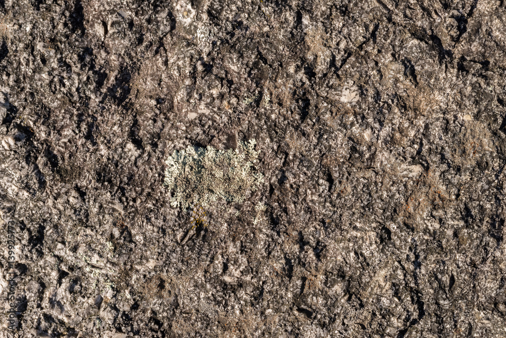 stone texture closeup