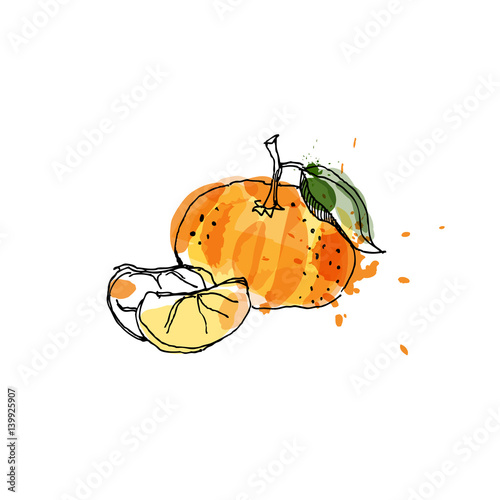 Tangerine, drawing by watercolor and ink with paint splashes on white background.