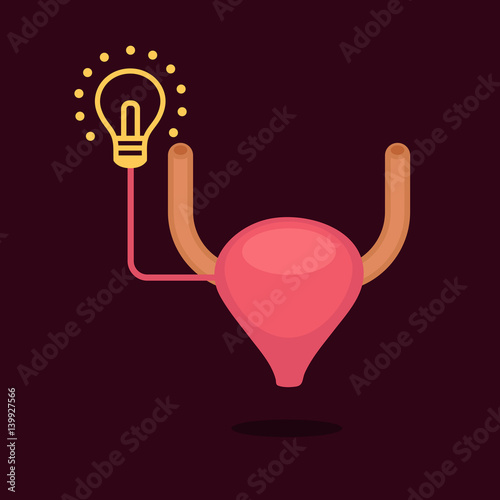 Bladder vector illustration