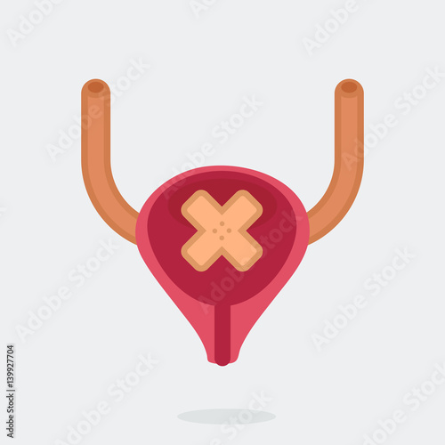 Bladder vector illustration