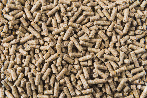 Close-up on feed pellets photo