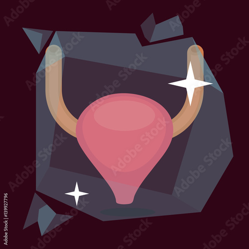 Bladder vector illustration