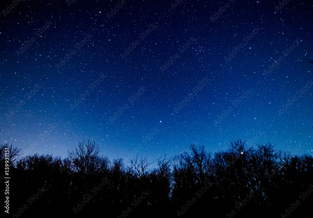 Starry sky over the forest.