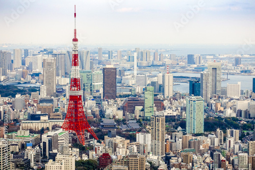 Canvas Print Tokyo Tower