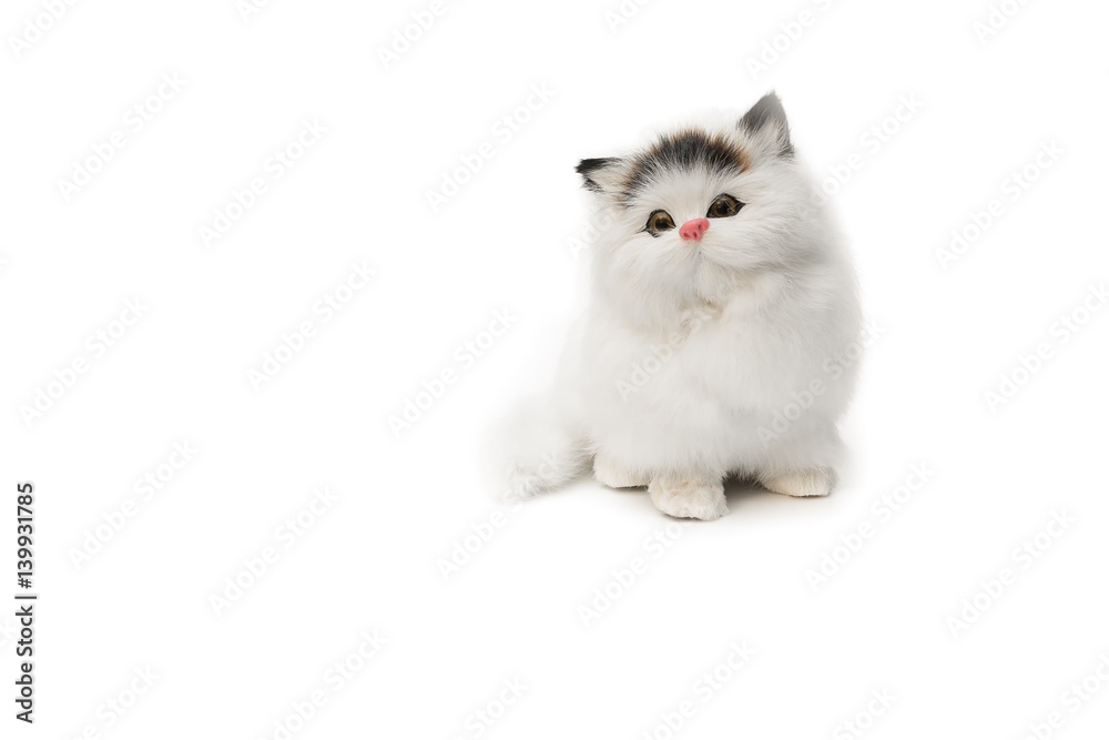 doll cat cute beautiful on white background with copy space for add text