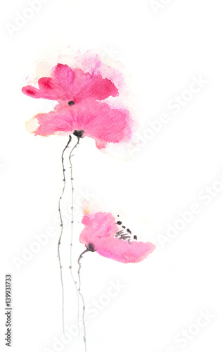 Stylized poppy flowers on white, Hand painted