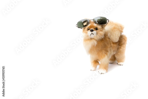 Fototapeta Naklejka Na Ścianę i Meble -  doll dog wearing sunglasses on white background with copy space for add text