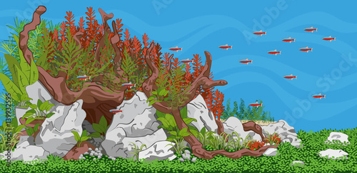 Natural home planted aquarium with fish and plants. Natural underwater bottom scene with stones, woods and plants. Aquascape setup. Vector illustration