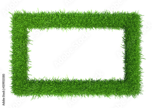 Green grass frame with copy-space. Square border template isolated on white background. Abstract plant texture. Organic design 3d rendering