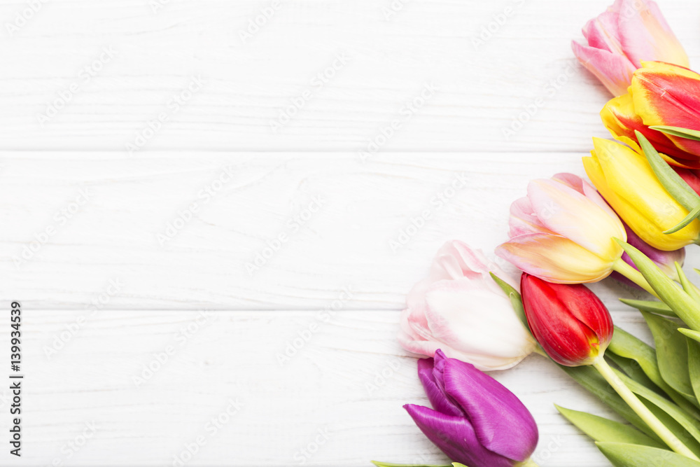 colorful tulips on white wooden background.